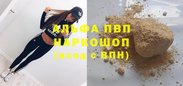 крисы Алзамай