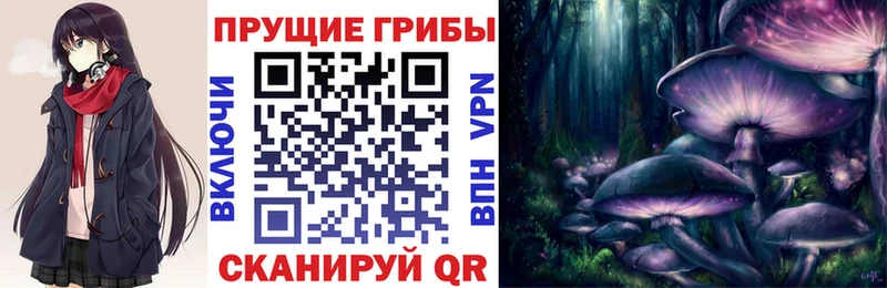 что такое наркотик  ОМГ ОМГ ONION  Псилоцибиновые грибы MAGIC MUSHROOMS  Махачкала 